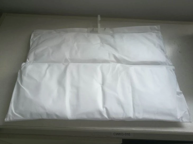 Container Desiccant Indijā