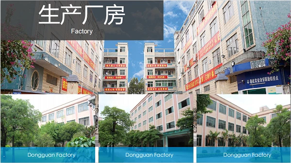 Dongguan Chunwang kopsavilkuma revīzijas ziņojums 2020. gadam (BSCI)